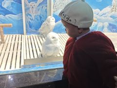 -成都浩海立方海洋公园