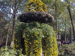 -杭州植物园