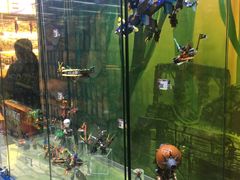 -玩具反斗城(海港城店)