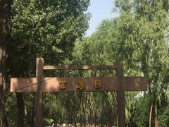-森林公园(尖草坪区)