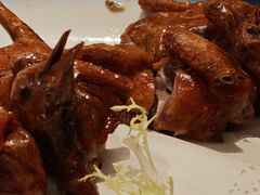 -中山市绿华园食府