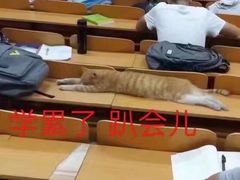 -长安大学(北校区)