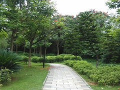 -厦门理工学院(集美校区)