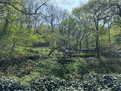-句容茅山景区