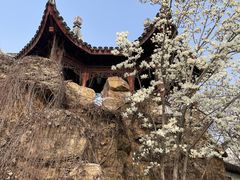 -八大山人梅湖景区