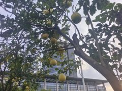 -浙江大学(紫金港校区)