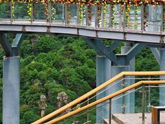 -王莽岭风景区