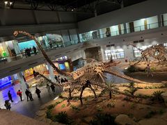 -自贡恐龙博物馆