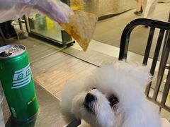 -shark burger·鲨鱼汉堡(交子大道店)