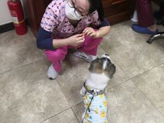 -美联众合动物医院·24h转诊中心