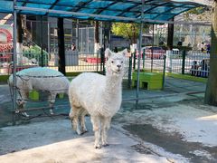 -荆州中山公园动物园