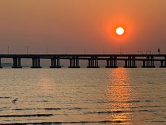 -宝安西湾红树林湿地公园