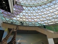 -陕西自然博物馆