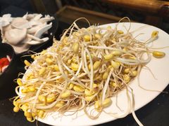 豆芽-渝宗老灶火锅(巴国城店)