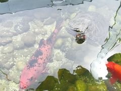 -仙林宾馆-餐厅