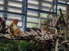-香港海洋公园