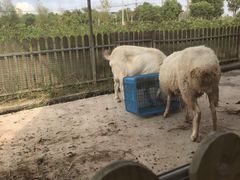 -上海多利农业发展有限公司