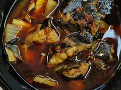 -新辣道鱼火锅(摩尔城店)