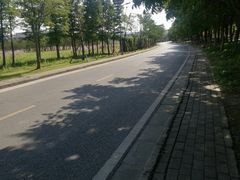 -尚贤河湿地