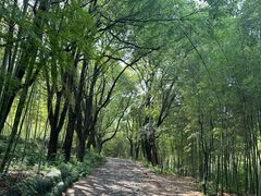 -杭州半山国家森林公园