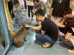 -顺德南宏海立方海洋公园