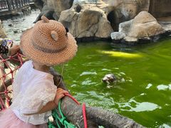 -华夏文旅海洋公园