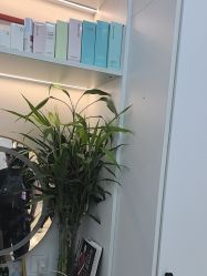 -诗碧曼养发
