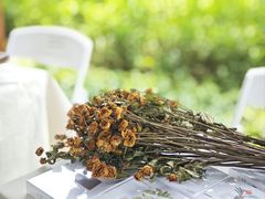 -云溪植物园