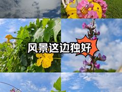 -上海日海酒店-停车场