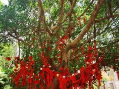 -渔·海鲜餐厅（东澳可域度假村内）南沙湾沙滩店