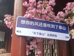 -泰山风景名胜区