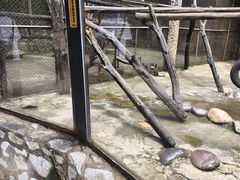 -云南野生动物园