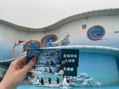 -哈尔滨极地公园