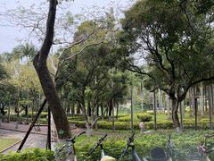 -厦门大学(思明校区)
