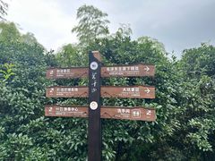 -莫干山风景区