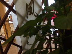 -新梅园不夜粥(龙华店)