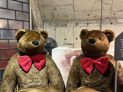 -济州岛泰迪熊博物馆