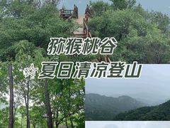 -大岭沟猕猴桃谷风景区