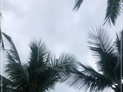 -万绿园