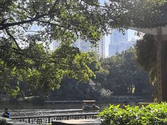 -荔湾湖公园