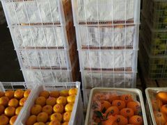 -西郊国际农产品交易中心
