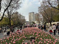 -圩墩遗址公园