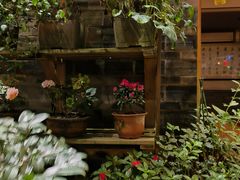 -华冠悠岚·庭院餐厅(青城后山店)