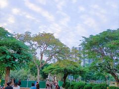 -金砂公园