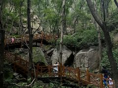 -大岭沟猕猴桃谷风景区
