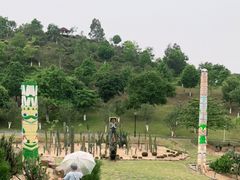 -东莞植物园