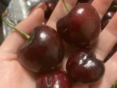 -南京众彩农副产品配送有限公司