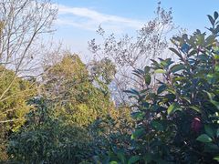 -杭州半山国家森林公园