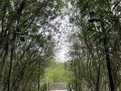 -上海吴淞炮台湾国家湿地公园
