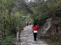 -大岭沟猕猴桃谷风景区